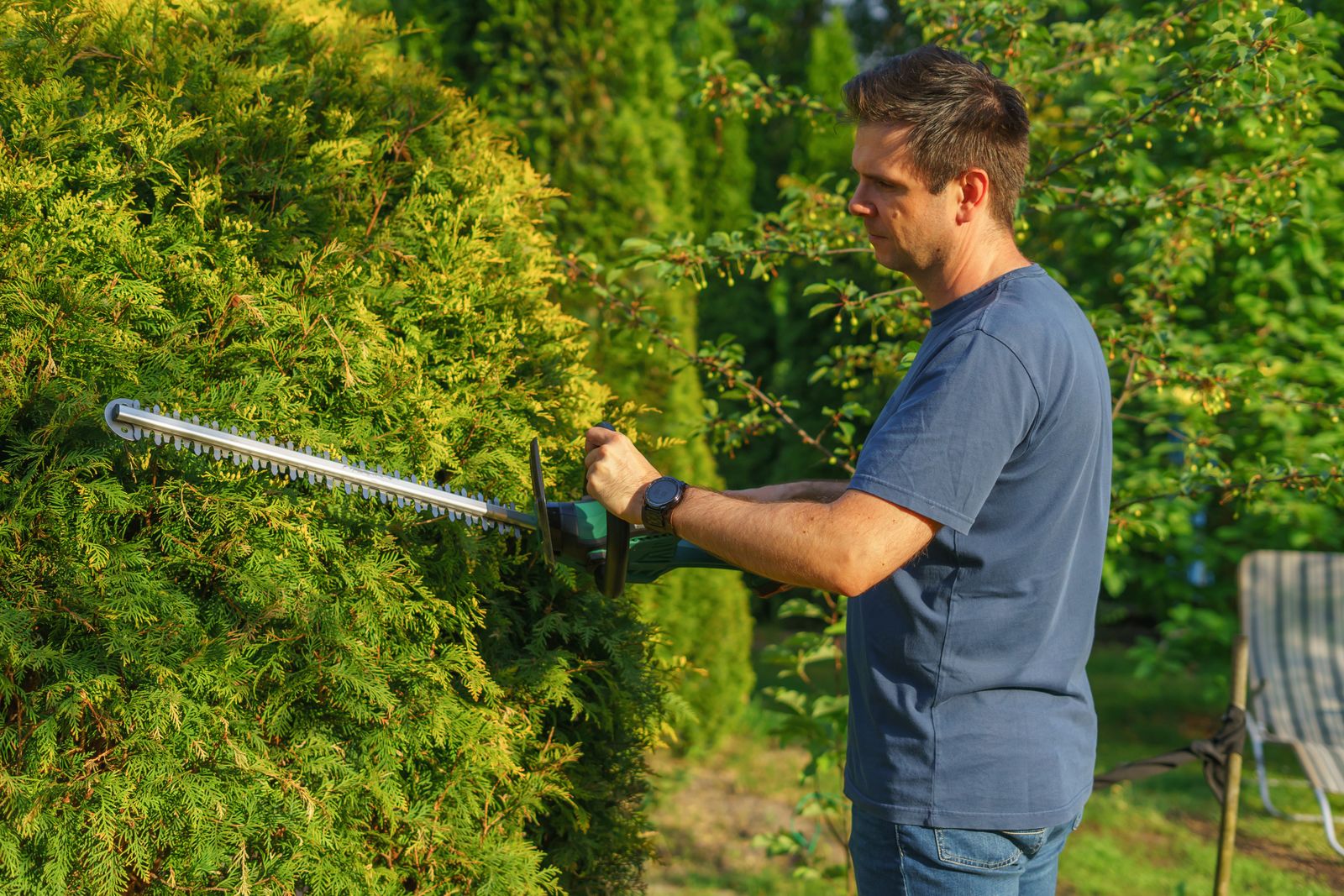 Hedge Trimming
