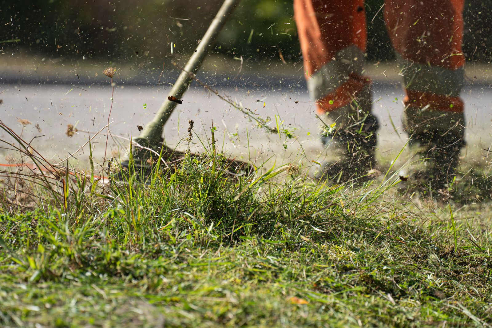 Full Tidy: Mow, Edge & Blow