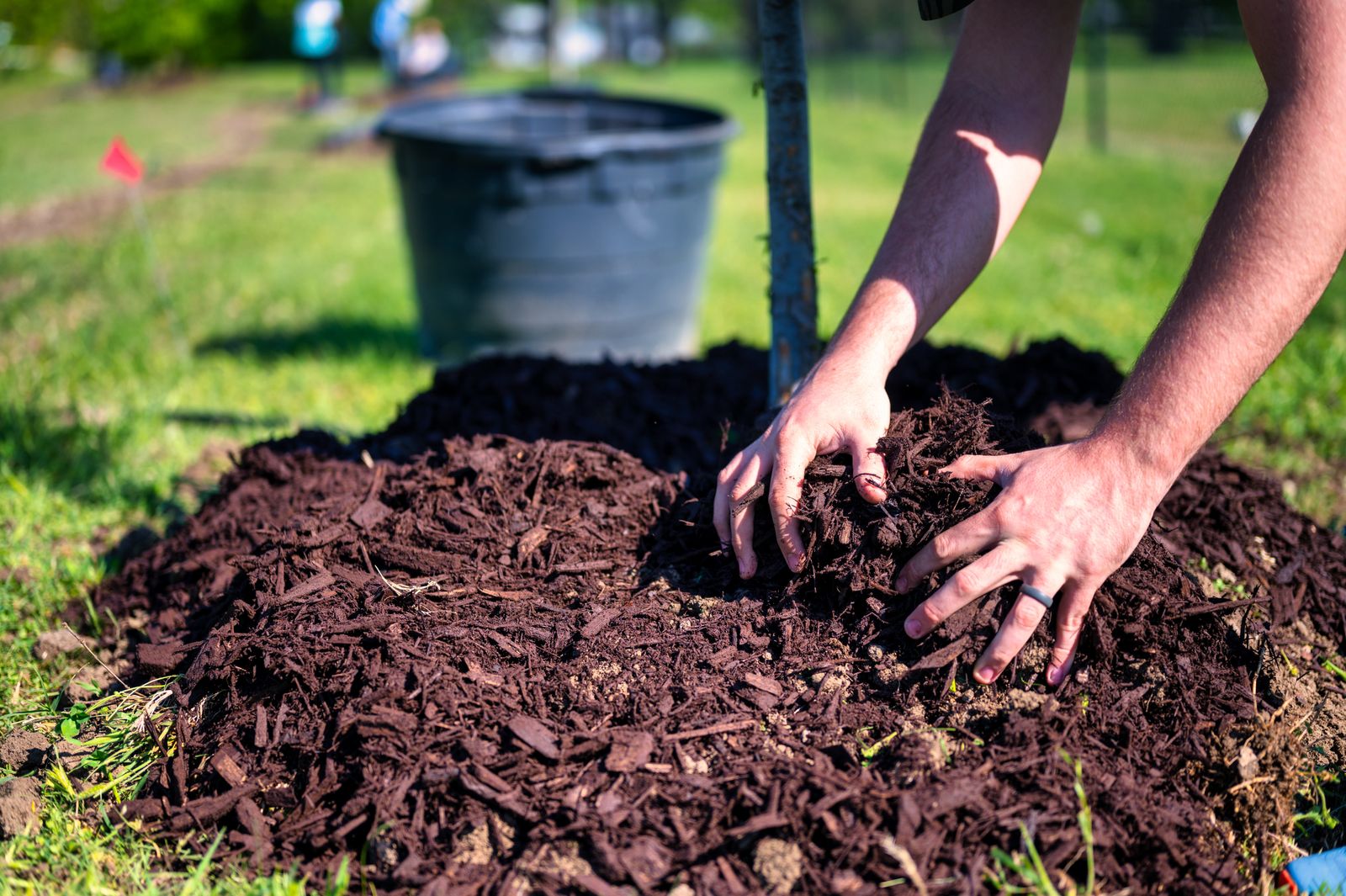 Garden Bed Weeding