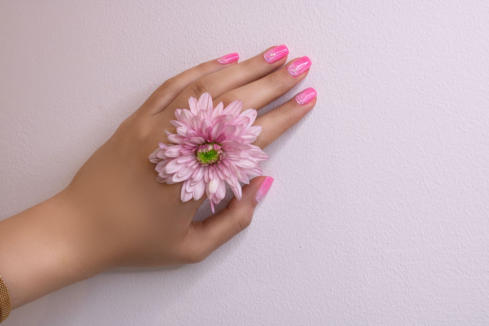 Signature Nail Art Set