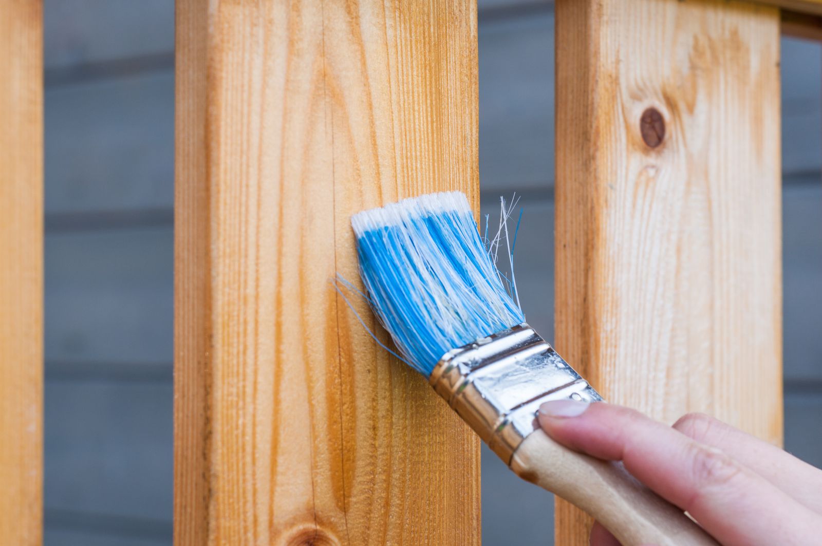 Fence & Gate Staining