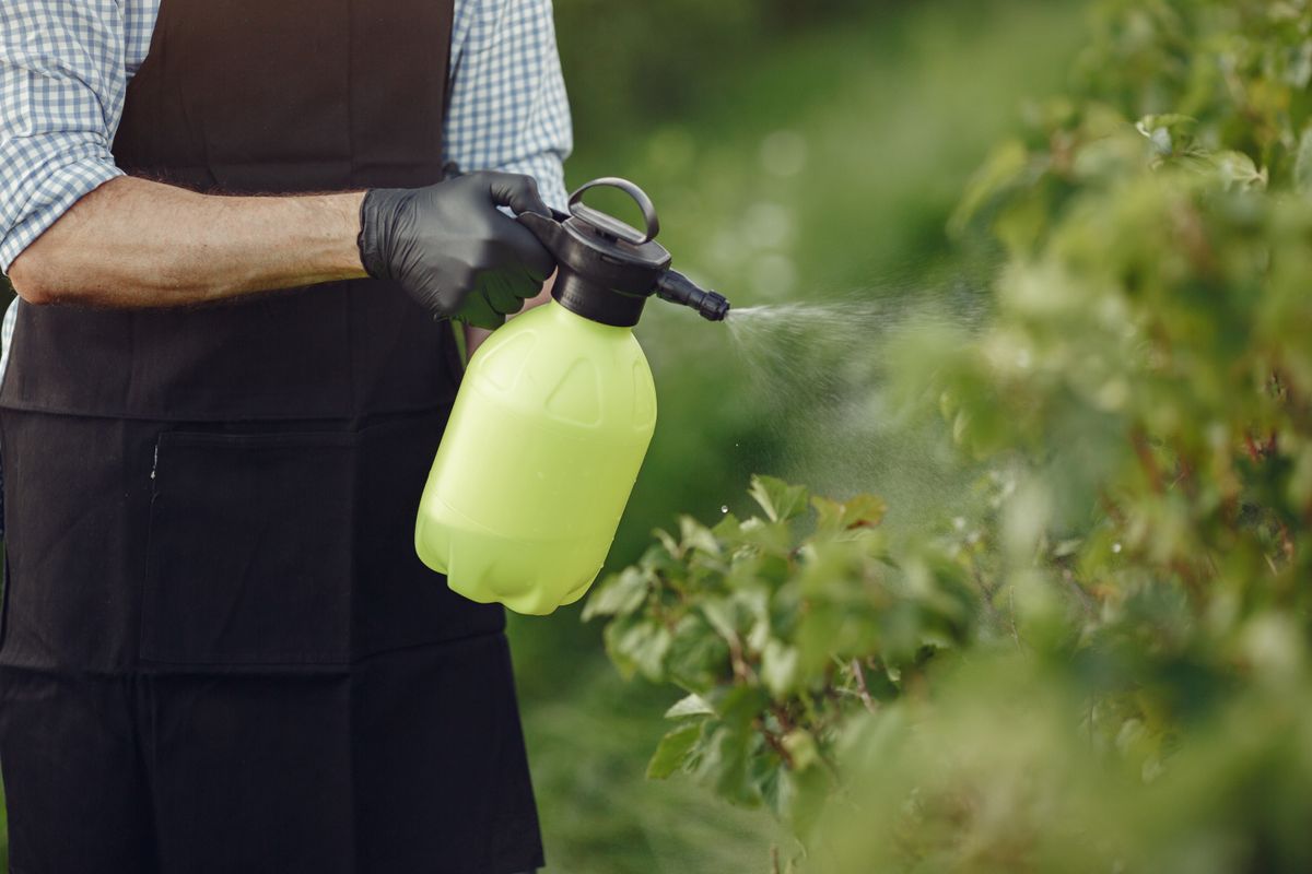 Weed Control Spray 1L